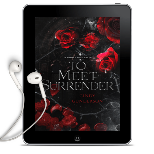 To Meet Surrender Audiobook
